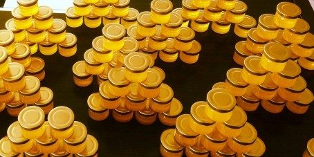 Quand les abeilles font leur nid chez nous