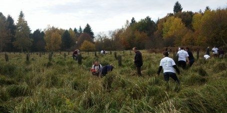 Mobilisés pour la forêt