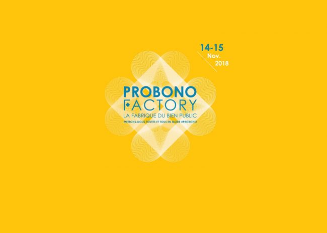 Eurogroup Consulting participe à la Probono Factory