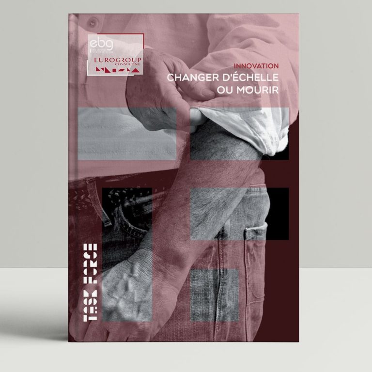 livre-blanc–innovation-changer-d’échelle