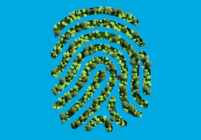 Sobriete-Numerique-Bonnes-Pratiques