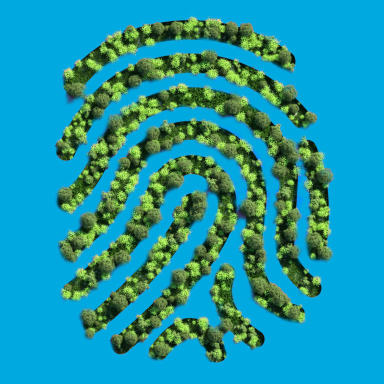 Empreinte-Sobriete-Numerique Sobriete-Numerique-Bonnes-Pratiques