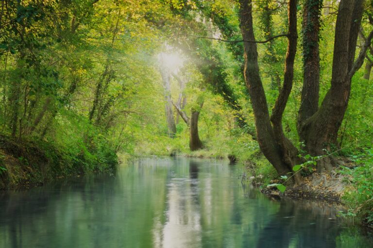 Le vivant a de l'avenir